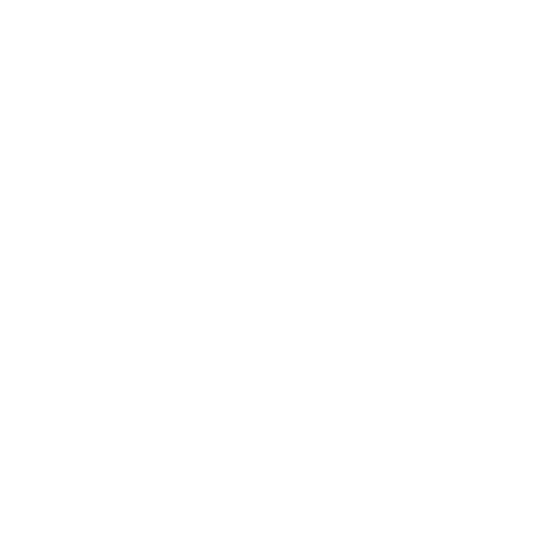Solution icon