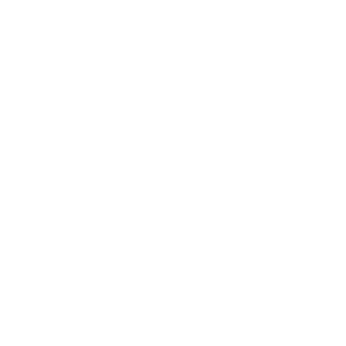 Result icon